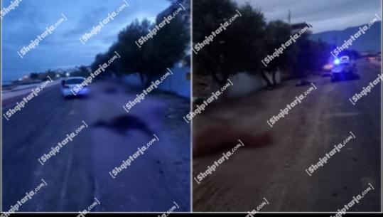 Aksident në Radhimë, automjeti përplas 4 kuaj, ngordhin në vend