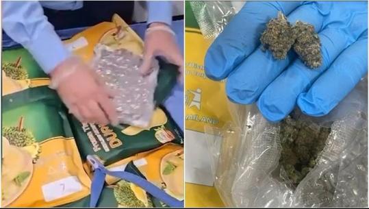 Trafik kanabisi nga Tajlanda në Shqipëri, kinezët e kishin ndarë lëndën narkotike në 120 pako të paketuar me qese frutash ekzotike (VIDEO)