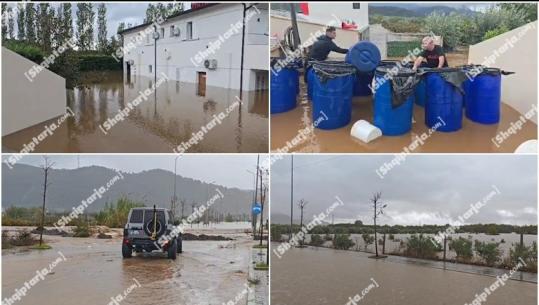 Reshjet e shiut përmbytin Vaun e Dejës, 100 banesa nën ujë! Glina del nga shtrati, dëme në bujqësi e blegtori! Mbrojtja: Situata drejt normalizimit( VIDEO)