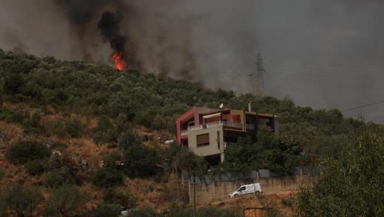 Përfundon evidentimi i dëmeve nga zjarret në qarkun e Vlorës, 33 banesa dhe dhjetëra mijëra rrënjë ullinj të djegura! Më të prekura Delvina dhe Finiqi