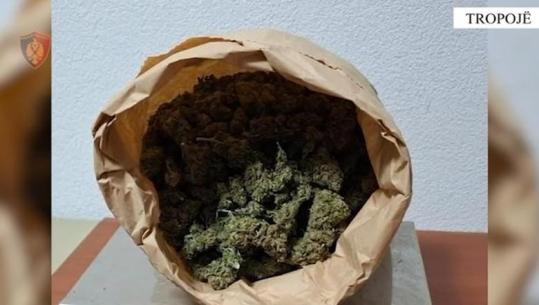 Tropojë/ Trafik kanabisi nga Shqipëria në Kosovë, pranga 25-vjeçarit! Nën hetim e ëma, fshehu lëndën narkotike
