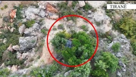 Përshtati një ambient për tharjen e kanabisit, arrestohet 42-vjeçari në Tiranë! Policia i gjen 516 gramë lëndë narkotike (VIDEO)