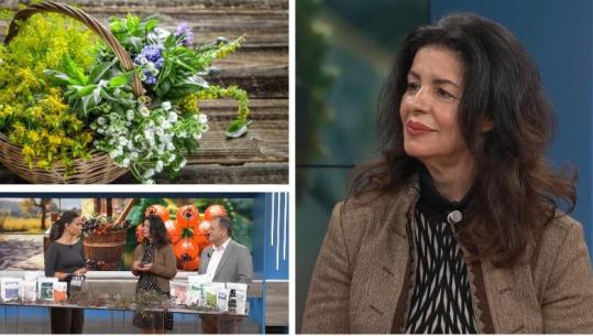  'Isha gati të dorëzohesha… bimët shqiptare më shpëtuan jetën', historia e Alketës nga Gjermania