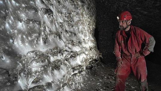 Zbulohet rrjeta më e madhe e merimangës në botë në kufirin shqiptaro-grek