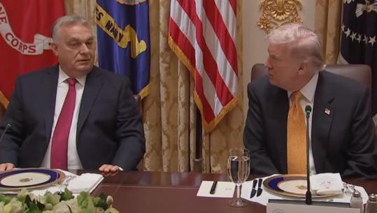 Trump: Shkalla e krimit në Europë është rritur ndjeshëm! Po ndodhin gjëra shumë të këqija