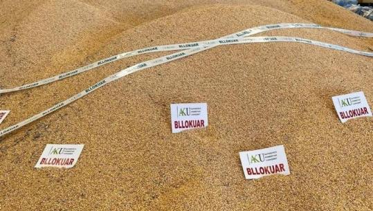 Vinte nga Serbia, AKU Shkodër bllokon kamionin me 25 ton misër me aflatoxinë 