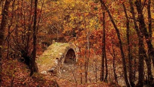 FOTOLAJM/ Borova në Kolonjë, ‘vishet’ me ngjyrat magjike të vjeshtës
