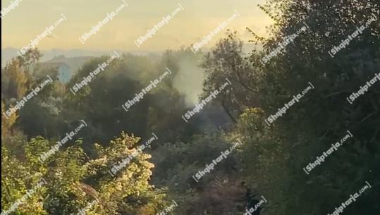 Atentati me 1 të vrarë dhe 1 të plagosur në Rinas, atentatorët djegin makinën në fshatin Halil të Krujës (VIDEO)