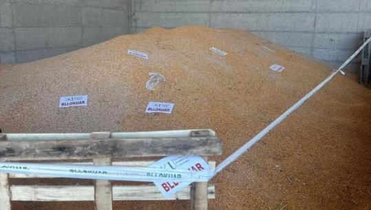 AKU bllokon 420 tonë misër në pikën kufitare të Hanit të Hotit, dyshohet me aflatoksinë