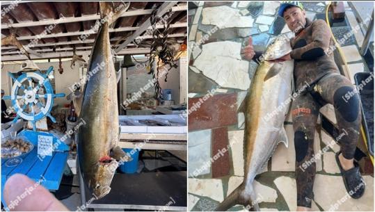 Një tjetër kapje e rrallë në Vlorë, peshkatari gjuan me shtizë, peshkun 35 kg (VIDEO)