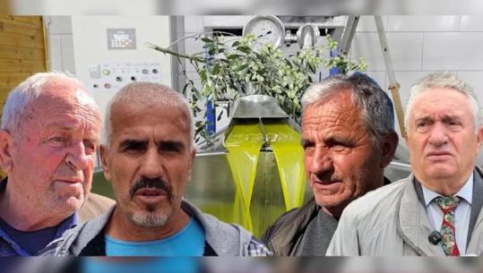 SPECIALE/ Fermerët paralajmërojnë më pak vaj ulliri në treg, rendiment i ulët, por cilësi e lartë