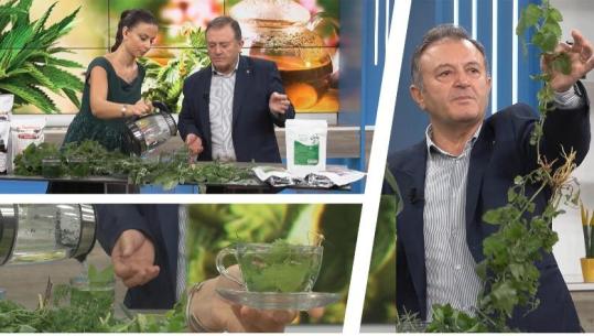 Pse duhet ta konsumosh HITHRËN sot? Zbulimet e Ylli Merjas dhe recetat më të forta natyrale