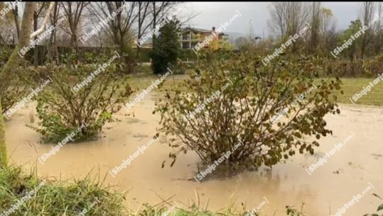 Reshjet në vend/ Situatë problematike edhe në disa fshatra të Krujës, tokat nën ‘pushtetin’e ujit (VIDEO)