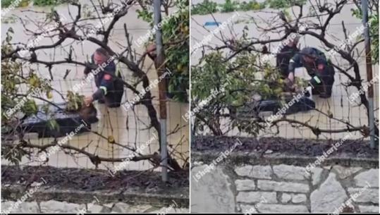 Moti i keq/ Zjarrfikësit shpëtojnë qenin në Dërmish të Finiqit! Ishte bllokuar në kolibe (VIDEO)