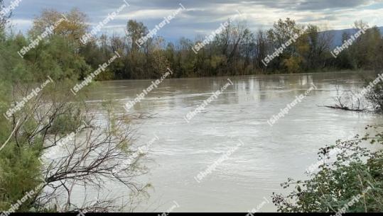 Moti i keq/ Lumi Seman del nga shtrati në Ngurrëz të Vogël dhe Imshtë të Lushnjës! 180 ha tokë bujqësore e përmbytur