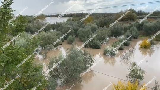 Lumi Shkumbin del nga shtrati brenda argjinaturës, rrezikohen tokat bujqësore (VIDEO)