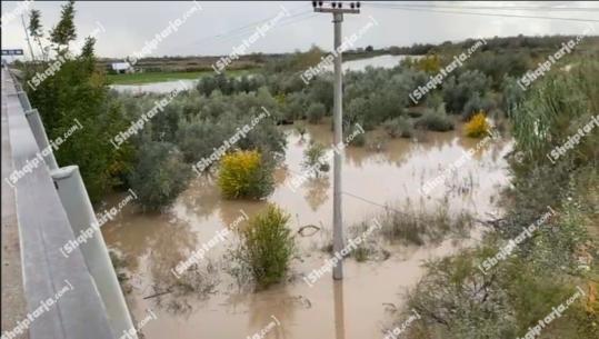 Fier/ Uji hyn në oborret e 30 banesave në Kashisht, Çerven e Ferras! Evakuohet një familje në Çerven! Lumi Seman del nga shtrati në fshatin Kallm