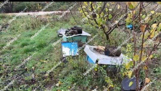 Moti i keq, banorët e Gështenjasit në Pogradec: Hera e pestë që përmbytemi, nuk kemi marrë asnjë ndihmë nga shteti