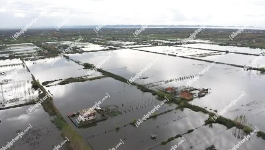 Toka bujqësore të përmbytura dhe shtëpi me prezencë uji, Report Tv sjell pamjet me DRON nga Lezha