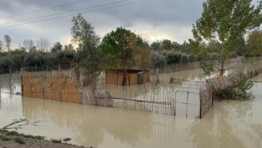 Moti i keq/ Përmirësim i situatës në Fier, ulet niveli i Vjosës dhe Semanit, tërhiqen ujërat nga tokat bujqësore