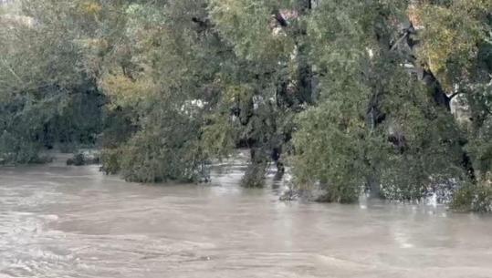 Semani del nga shtrati tek ura e Mbrostarit, përmbyten stalla me bagëti dhe toka bujqësore