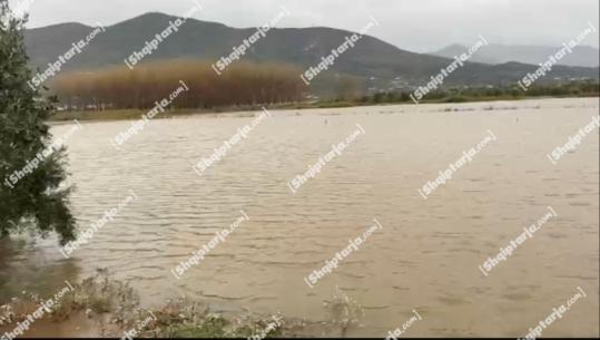 Problematike situata në fshatrat e Lezhës, sipërfaqe tokash bujqësore të përmbytura nga uji (VIDEO)