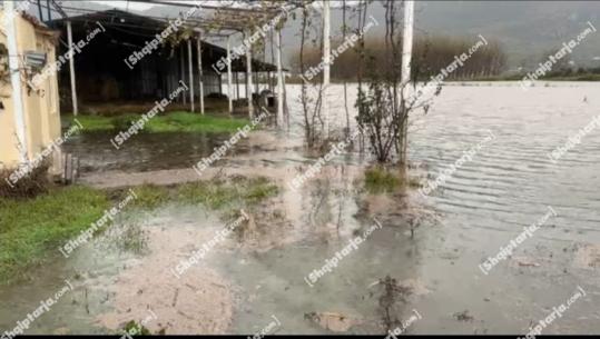 Ministria e Mbrojtjes përditësim të situatës: 220 hektarë tokë bujqësore e përmbytur në Lezhë, 300 hektarë në Mamurras, 25 banesa kanë prani uji në Fier