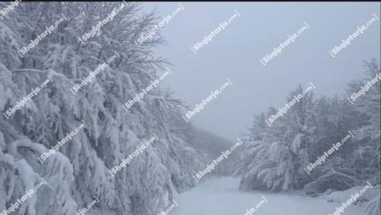 Moti i keq/ Lëpusha dhe mali i Krrabit nën petkun e dëborës, pamjet mahnitëse (VIDEO)