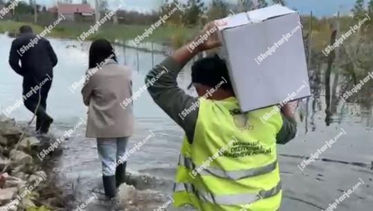 Përmbytjet në Lezhë/ Barbulloja dhe Rrila prej 6 ditësh nën ujë! Shërbimet sociale vijojnë me shpërndarjet e ndihmave për banorët e prekur