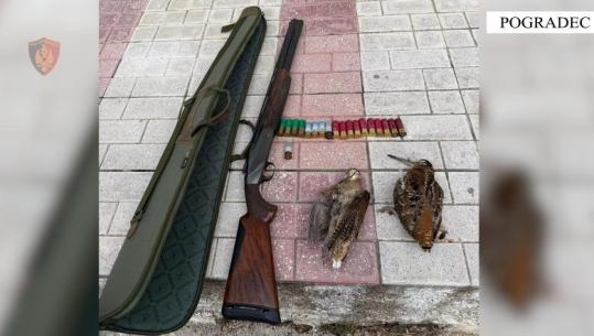 Pogradec/ Gjueti e paligjshme në fshatin Selcë e Poshtme, nisin hetimet për 56-vjeçarin! Gjenden edhe dy shpendë të vrarë