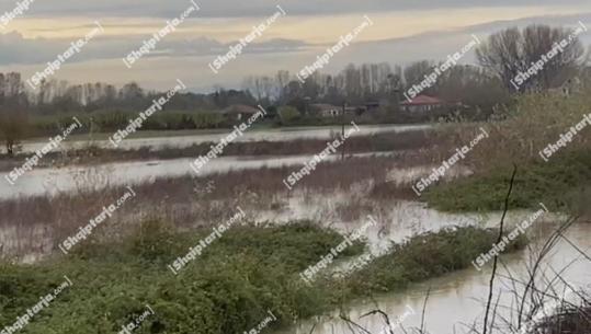 Moti i keq/ Del nga shtrati lumi Ishëm, qindra ha tokë nën ujë në Murqinë të Krujës
