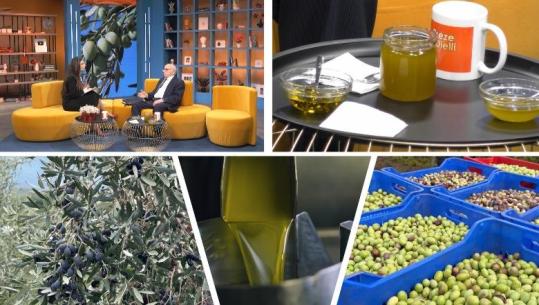 ‘Po humbim ullinjtë autoktonë, po zëvendësohen me vila’, alarmi i Prof. Dr Petraq Sotiri, 70 vite dedikuar pemëtarisë