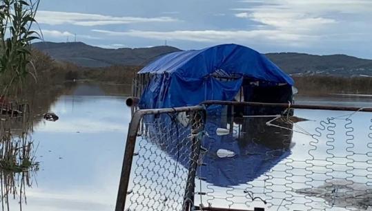 Moti i keq në Lushnje, tokat bujqësore në disa zona ende nën 'pushtetin' e ujit 
