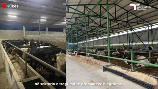 Nuk deklaruan 10 milionë euro të ardhura, Tatimet zbarkojnë në Kukës, Kavajë e Fier: Respektoni legjislacionin për të shmangur penalitetet (VIDEO)