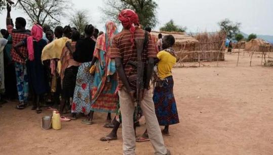 Sudan, sulm me dronë e raketa në një çerdhe! 50 të vdekur, mes tyre 33 fëmijë