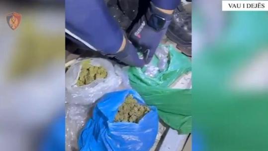 Vau i Dejës/ Shiste kanabis në doza në lokalin e tij, pranga 32-vjeçarit
