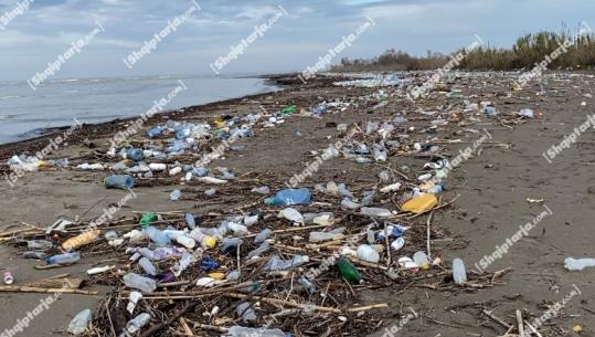 Katastrofë mjedisore në Divjakë dhe Vilëbashtovë! Plazhet mbushen me mbetjet që shkarkoi lumi Shkumbin