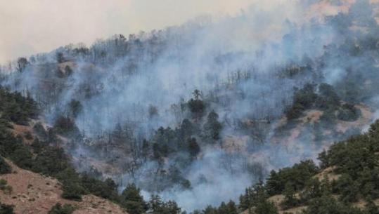 Humbja e pyjeve si rrezik sistemik: çfarë mund të mësojë Armenia nga Ballkani
