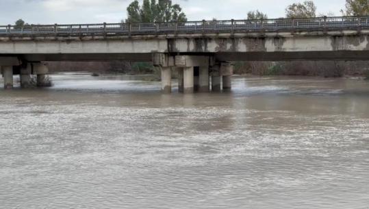 Del bilanci i përmbytjeve të nëntorit! Bistrica ka shuar tufat në Sarandë, për 3 ditë ngordhën 850 krerë bagëti! U shkatërruan të mbjellat, mbi 1400 ha tokë 
