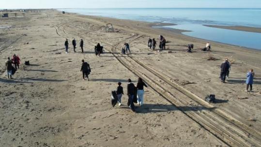 Katastrofa mjedisore në Divjakë, bashkia reagon pas denoncimit të Report Tv! Nis pastrimi i vijës bregdetare