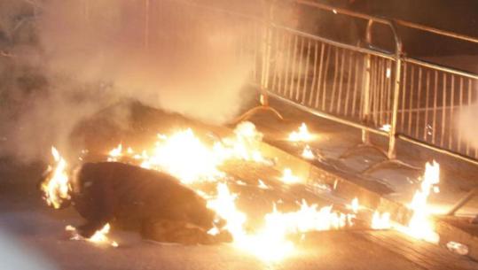 Protestuesi merr flakë nga molotovët që hodhën militantët e Berishës drejt Kryeministrisë (FOTO+VIDEO)