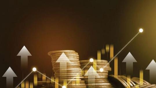 Viti 2025 po mbyllet me fitime më të ulëta për sektorin bankar