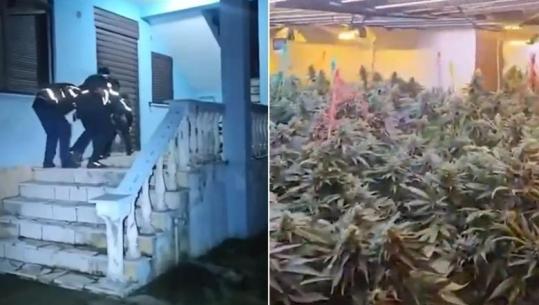 Shkodër/ Mori me qira banesën dhe e ktheu në “shtëpi bari”, kapet në befasi 22-vjeçari! Ndalohet punonjësi i OSHEE-së, dy të tjerë nën hetim (VIDEO)