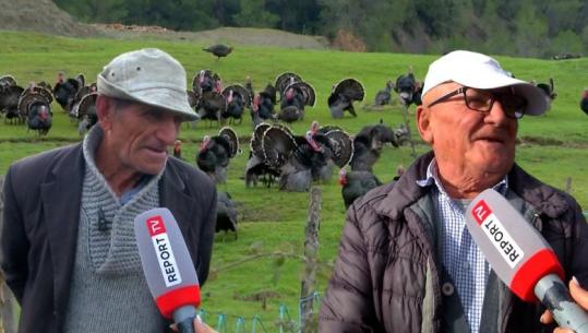 ‘Mbreti’ i tryezës së festave, gjeli i detit shitet 1000-1200 lekë/kg! Fermerët e Baldushkut: Na konkurron importi