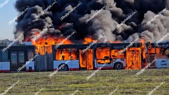 Djegia e 8 autobusëve në Durrës, Policia: Shkak i zjarrit, shkëndija elektrike në baterinë e njërit prej tyre
