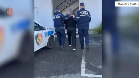 Malësi e Madhe/ Në kërkim për kultivim kanabisi, pranga 57-vjeçarit