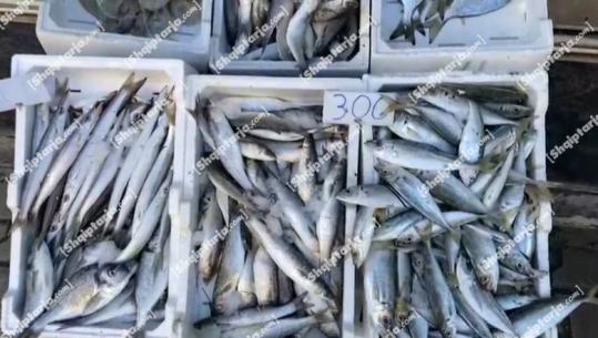 Krizë uji në Vlorë/ Peshkatari: Jemi gropë për Vitin e Ri. E kemi 'dhuratë' nga Edi Rama!