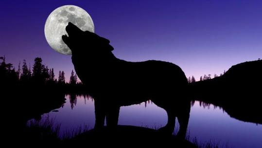 Viti i Ri nis me ‘spektakël qiellor’, sonte mos harroni të shihni 'Hënën e Ujkut’! Cilat shenja të horoskopit do të preken nga ky fenomen