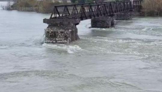 Reshje intensive shiu në qarqet Shkodër dhe Kukës, rrezik për përmbytje në zonat urbane! Lumenjtë Drini, Buna e Vjosa nën monitorim