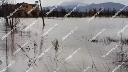 Moti i keq, Pirro Vengu thërret në mbledhje Komitetin e Emergjencave Civile dhe ministrin e Bujqësisë